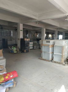 公明南光高速出口精品小獨(dú)院廠房招租及商務(wù)信息咨詢(xún)服務(wù)