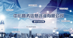 安順項(xiàng)目申請(qǐng)報(bào)告全程商務(wù)信息咨詢(xún)服務(wù)可行性分析